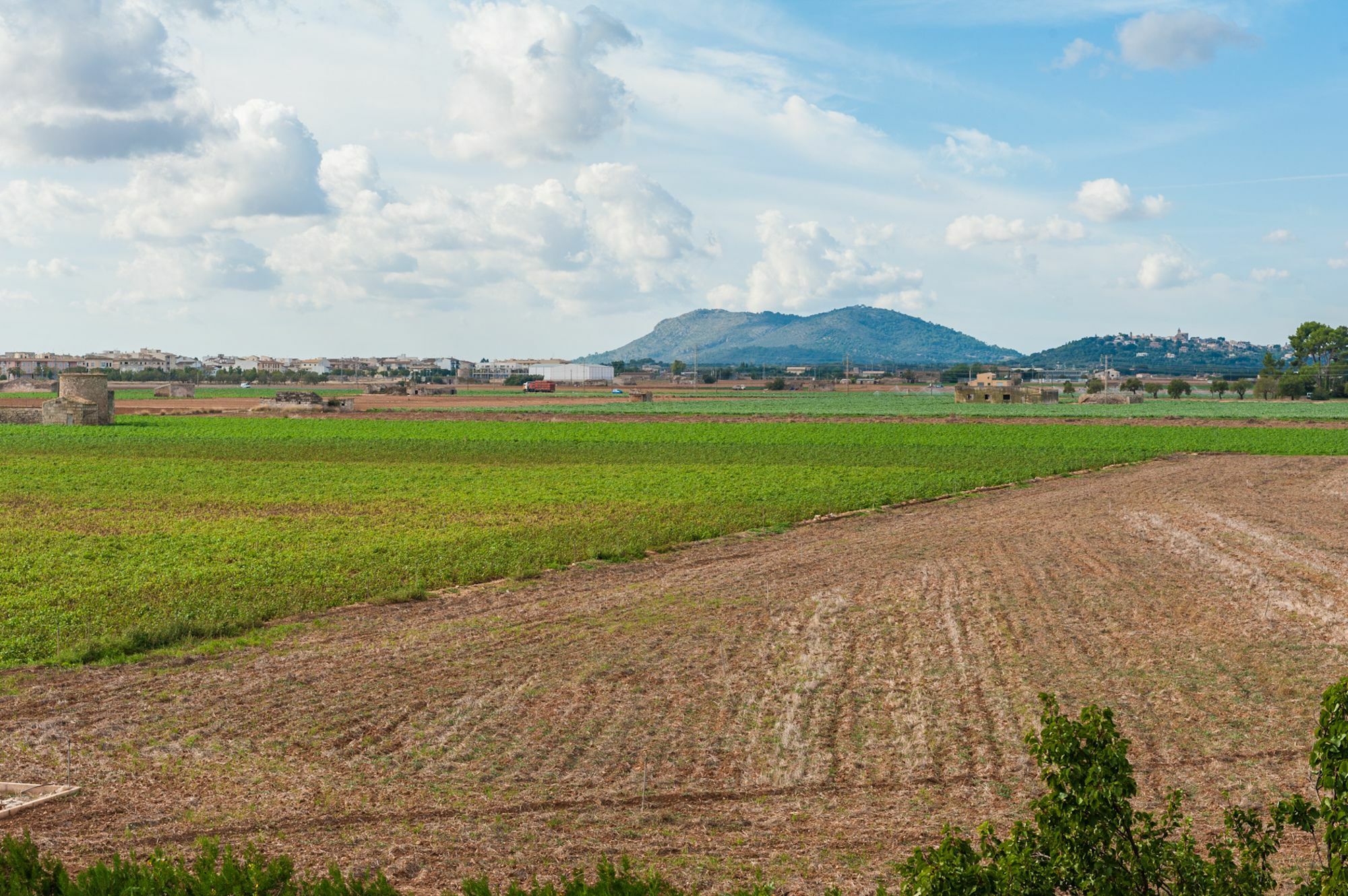 Son Valenti Villa Sa Pobla Buitenkant foto